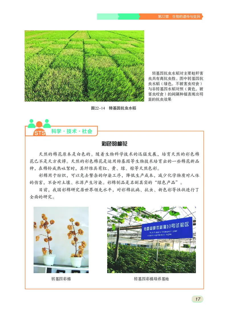 苏科版8年级生物下册高清教材_4-教培资料-26年最新资料-同步更新_初中高中教资_03科三专项（进去保存报考的学科即可）_02科三专项（笔记真题思维导图教学设计版本二）