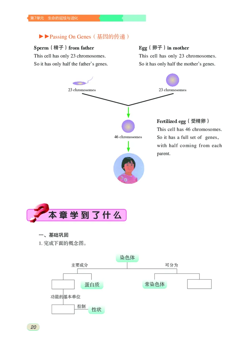 苏科版8年级生物下册高清教材_4-教培资料-26年最新资料-同步更新_初中高中教资_03科三专项（进去保存报考的学科即可）_02科三专项（笔记真题思维导图教学设计版本二）