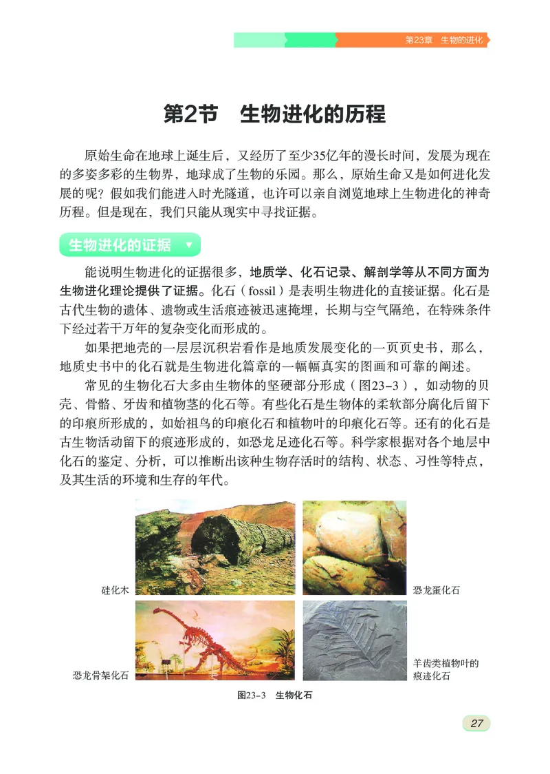 苏科版8年级生物下册高清教材_4-教培资料-26年最新资料-同步更新_初中高中教资_03科三专项（进去保存报考的学科即可）_02科三专项（笔记真题思维导图教学设计版本二）