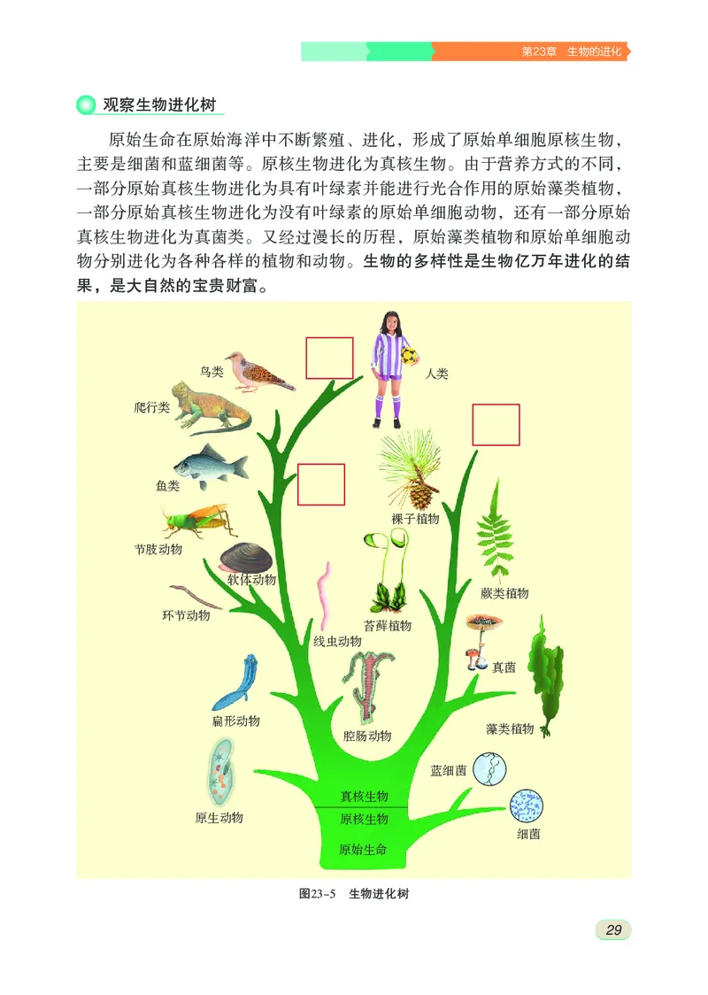 苏科版8年级生物下册高清教材_4-教培资料-26年最新资料-同步更新_初中高中教资_03科三专项（进去保存报考的学科即可）_02科三专项（笔记真题思维导图教学设计版本二）