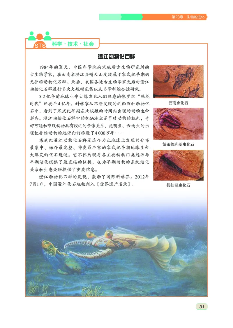 苏科版8年级生物下册高清教材_4-教培资料-26年最新资料-同步更新_初中高中教资_03科三专项（进去保存报考的学科即可）_02科三专项（笔记真题思维导图教学设计版本二）