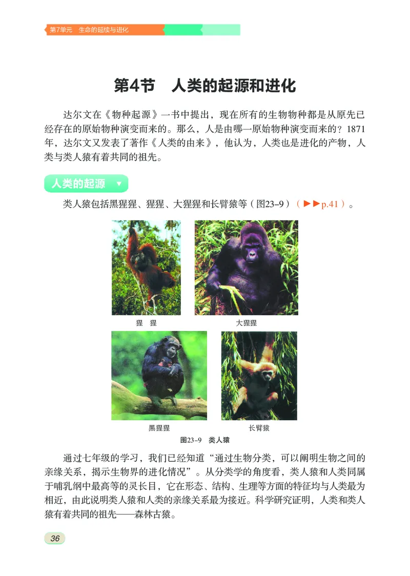 苏科版8年级生物下册高清教材_4-教培资料-26年最新资料-同步更新_初中高中教资_03科三专项（进去保存报考的学科即可）_02科三专项（笔记真题思维导图教学设计版本二）