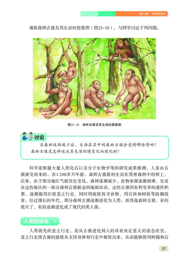 苏科版8年级生物下册高清教材_4-教培资料-26年最新资料-同步更新_初中高中教资_03科三专项（进去保存报考的学科即可）_02科三专项（笔记真题思维导图教学设计版本二）