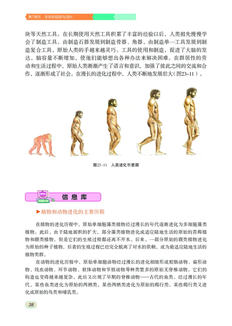 苏科版8年级生物下册高清教材_4-教培资料-26年最新资料-同步更新_初中高中教资_03科三专项（进去保存报考的学科即可）_02科三专项（笔记真题思维导图教学设计版本二）