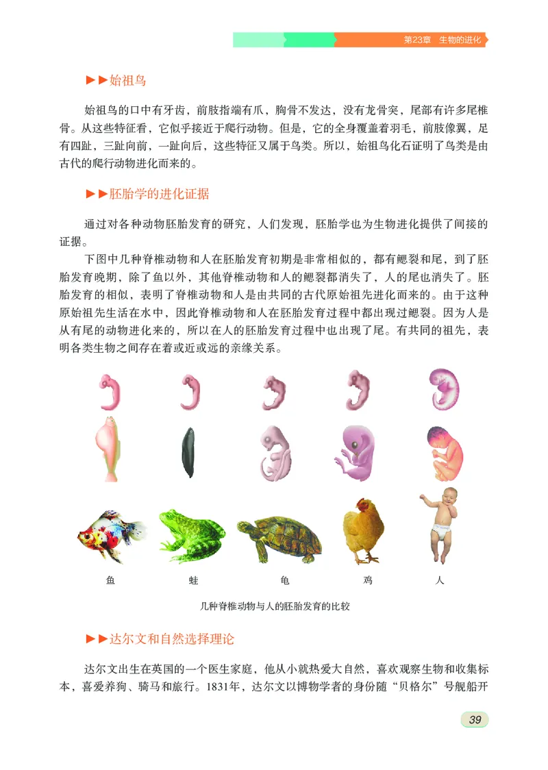 苏科版8年级生物下册高清教材_4-教培资料-26年最新资料-同步更新_初中高中教资_03科三专项（进去保存报考的学科即可）_02科三专项（笔记真题思维导图教学设计版本二）