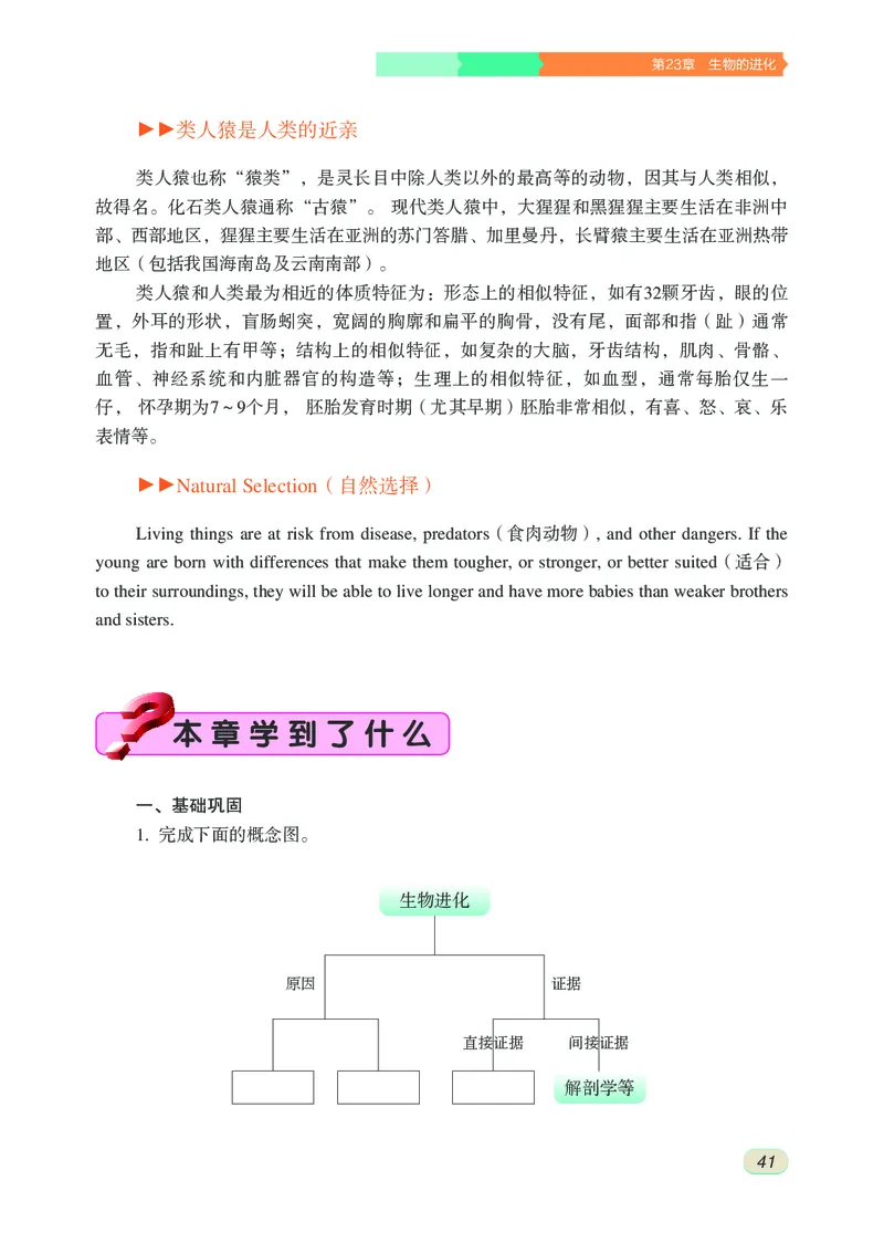 苏科版8年级生物下册高清教材_4-教培资料-26年最新资料-同步更新_初中高中教资_03科三专项（进去保存报考的学科即可）_02科三专项（笔记真题思维导图教学设计版本二）