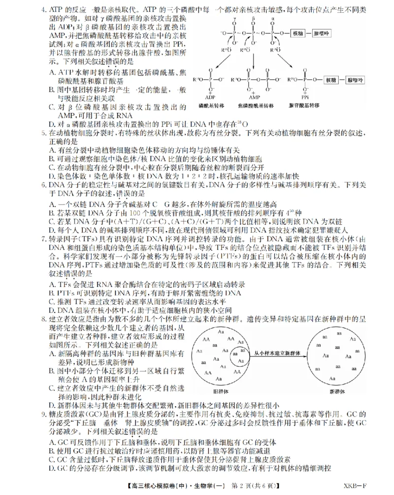 江西省名校九师联盟2023-2024学年高三1月核心模拟卷生物试卷_2024届九师联盟高三核心模拟卷（中）一_九师联盟2023-2024学年高三核心模拟卷（中）一生物试卷
