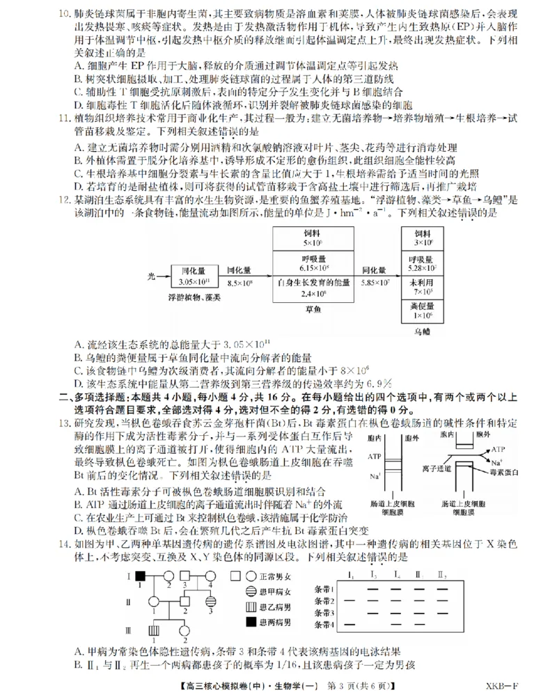 江西省名校九师联盟2023-2024学年高三1月核心模拟卷生物试卷_2024届九师联盟高三核心模拟卷（中）一_九师联盟2023-2024学年高三核心模拟卷（中）一生物试卷