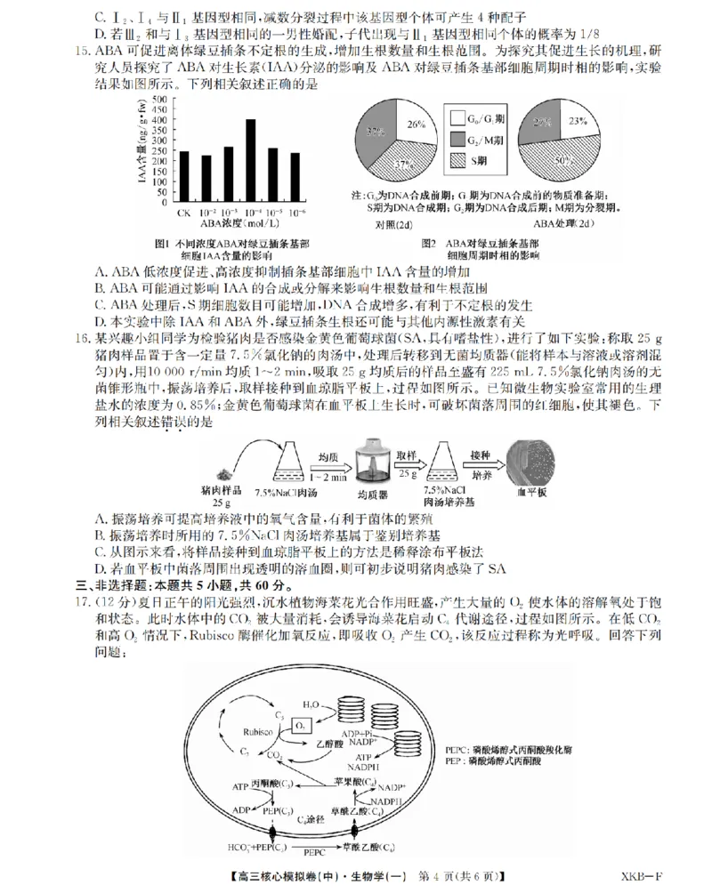 江西省名校九师联盟2023-2024学年高三1月核心模拟卷生物试卷_2024届九师联盟高三核心模拟卷（中）一_九师联盟2023-2024学年高三核心模拟卷（中）一生物试卷
