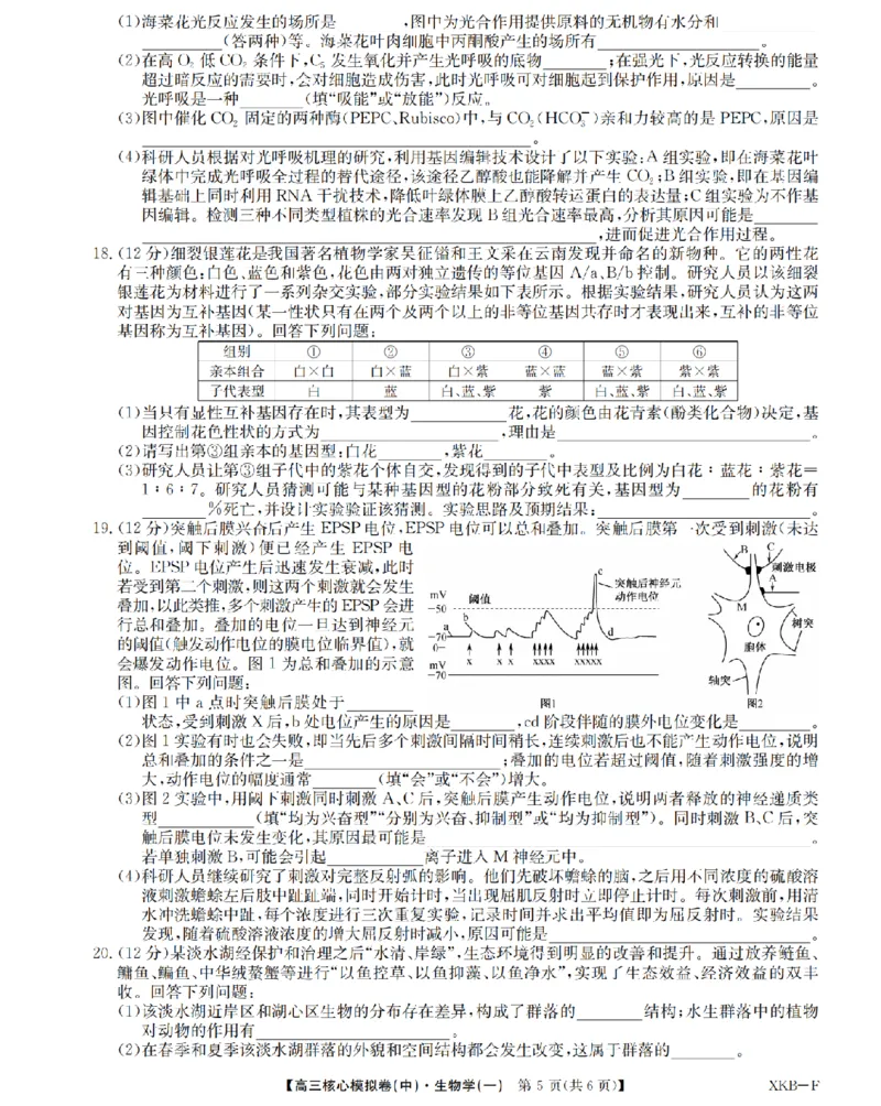 江西省名校九师联盟2023-2024学年高三1月核心模拟卷生物试卷_2024届九师联盟高三核心模拟卷（中）一_九师联盟2023-2024学年高三核心模拟卷（中）一生物试卷