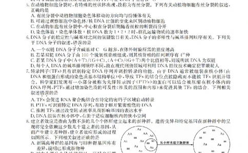 江西省名校九师联盟2023-2024学年高三1月核心模拟卷生物试卷_2024届九师联盟高三核心模拟卷（中）一_九师联盟2023-2024学年高三核心模拟卷（中）一生物试卷