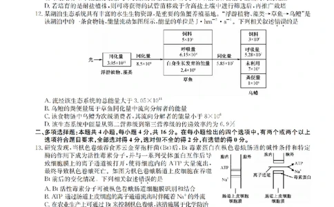 江西省名校九师联盟2023-2024学年高三1月核心模拟卷生物试卷_2024届九师联盟高三核心模拟卷（中）一_九师联盟2023-2024学年高三核心模拟卷（中）一生物试卷