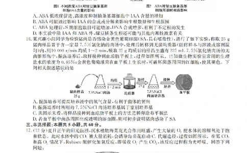 江西省名校九师联盟2023-2024学年高三1月核心模拟卷生物试卷_2024届九师联盟高三核心模拟卷（中）一_九师联盟2023-2024学年高三核心模拟卷（中）一生物试卷