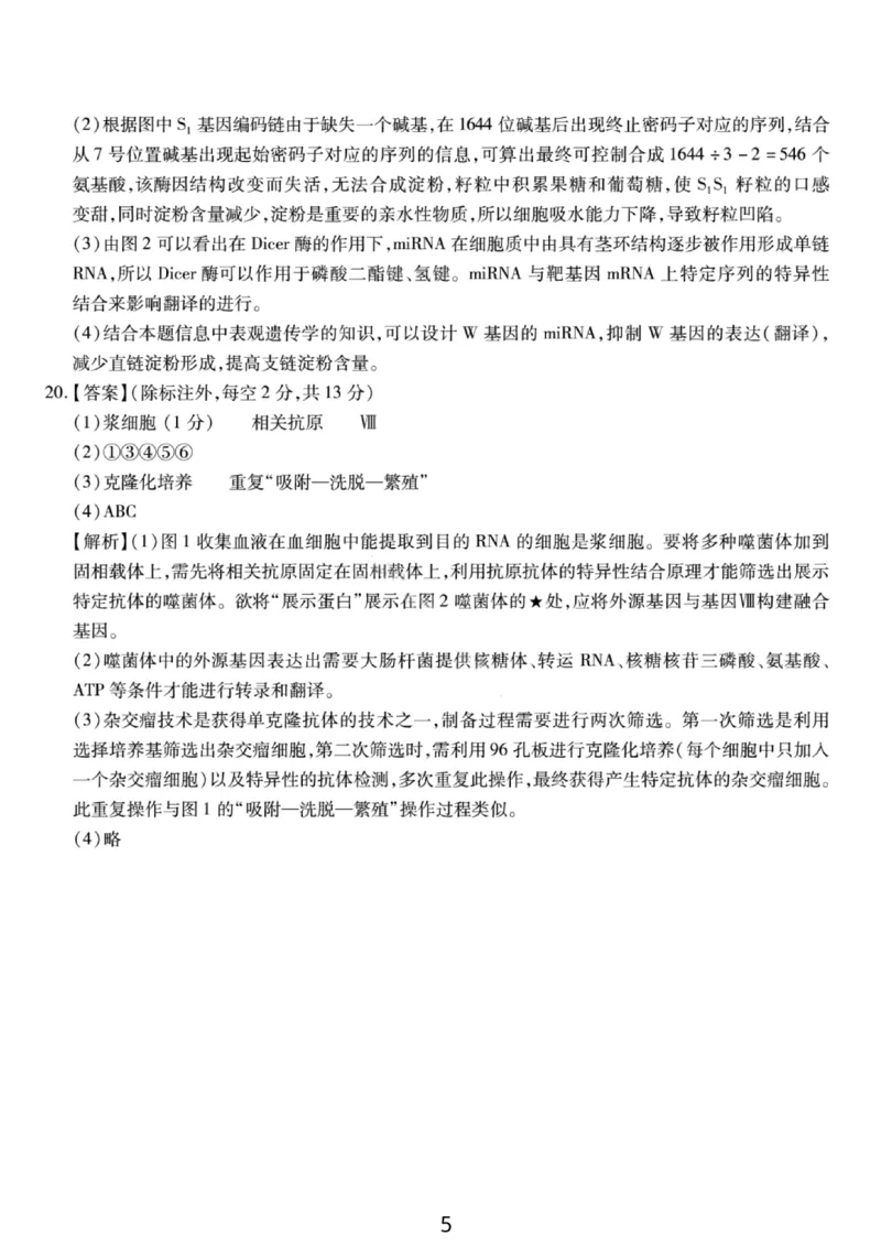 生物答案-重庆市南开中学高2026届高三第四次质量检测_2025年12月_251206重庆市南开中学高2026届高三第四次质量检测（全科）_重庆市南开中学高2026届高三第四次质量检测生物