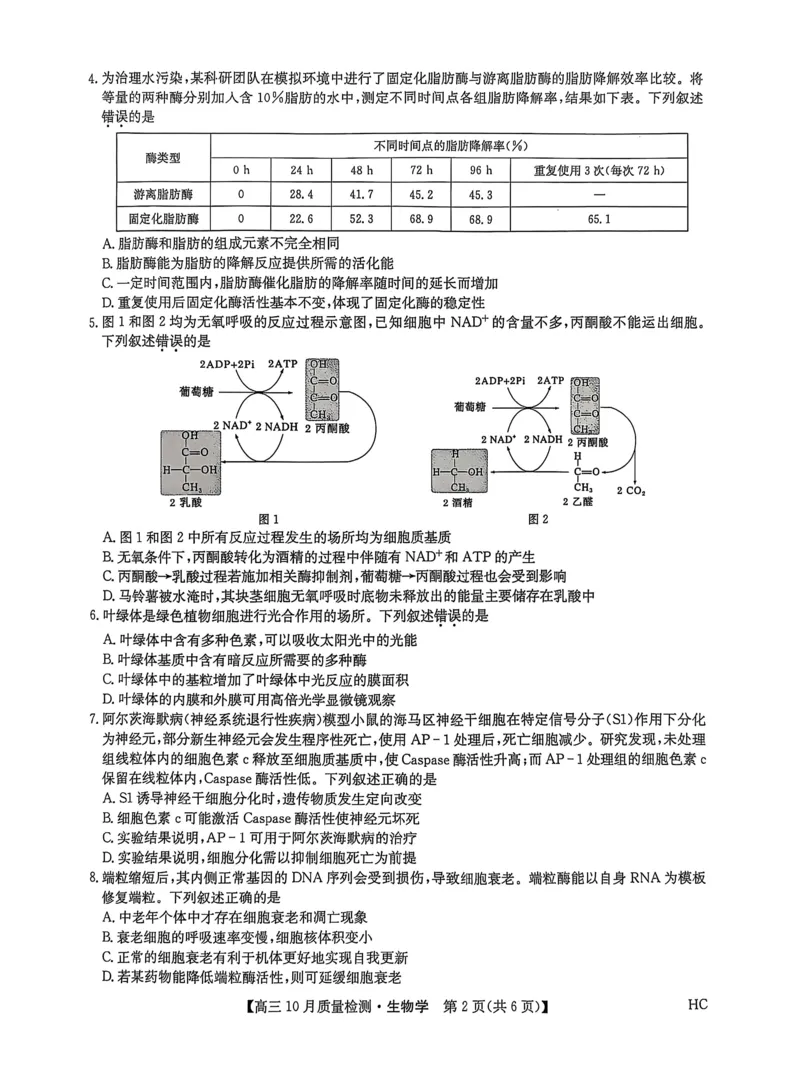 黑龙江省九师联盟2025-2026学年高三上学期10月月考生物试题附答案_251102九师联盟2026届高三上学期10月月考_黑龙江九师联盟2026届高三上学期10月月考生物试题+答案