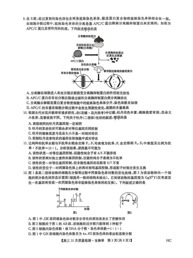 黑龙江省九师联盟2025-2026学年高三上学期10月月考生物试题附答案_251102九师联盟2026届高三上学期10月月考_黑龙江九师联盟2026届高三上学期10月月考生物试题+答案