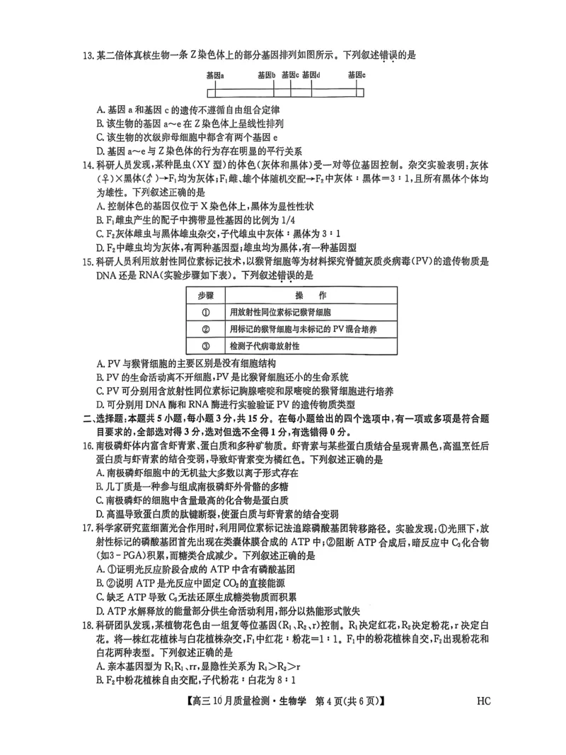 黑龙江省九师联盟2025-2026学年高三上学期10月月考生物试题附答案_251102九师联盟2026届高三上学期10月月考_黑龙江九师联盟2026届高三上学期10月月考生物试题+答案
