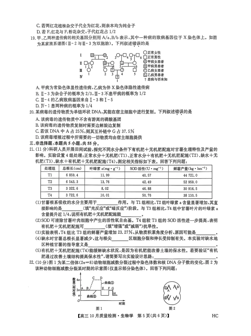 黑龙江省九师联盟2025-2026学年高三上学期10月月考生物试题附答案_251102九师联盟2026届高三上学期10月月考_黑龙江九师联盟2026届高三上学期10月月考生物试题+答案