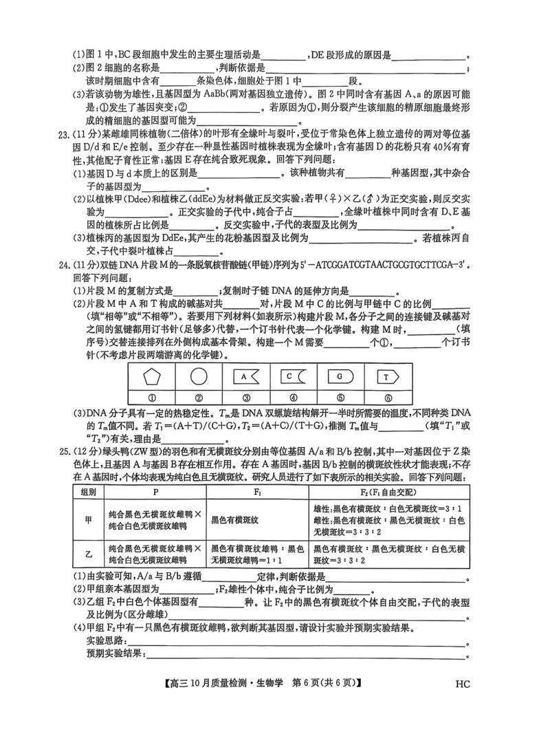 黑龙江省九师联盟2025-2026学年高三上学期10月月考生物试题附答案_251102九师联盟2026届高三上学期10月月考_黑龙江九师联盟2026届高三上学期10月月考生物试题+答案