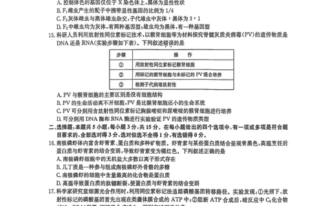 黑龙江省九师联盟2025-2026学年高三上学期10月月考生物试题附答案_251102九师联盟2026届高三上学期10月月考_黑龙江九师联盟2026届高三上学期10月月考生物试题+答案