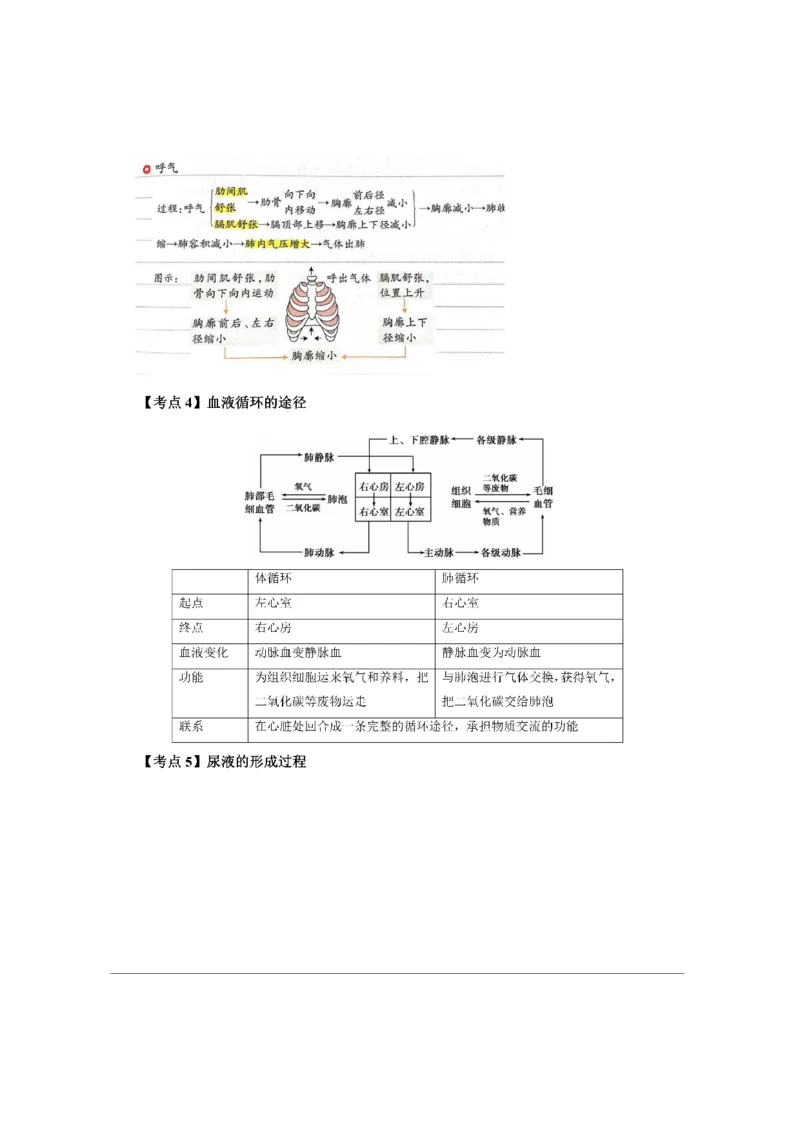 考前必背｜初中教资《生物》最全考点背诵笔记与模版，一遍上岸_4-教培资料-26年最新资料-同步更新_初中高中教资_03科三专项（进去保存报考的学科即可）