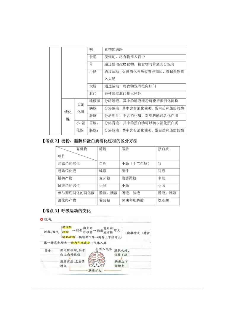 考前必背｜初中教资《生物》最全考点背诵笔记与模版，一遍上岸_4-教培资料-26年最新资料-同步更新_初中高中教资_03科三专项（进去保存报考的学科即可）