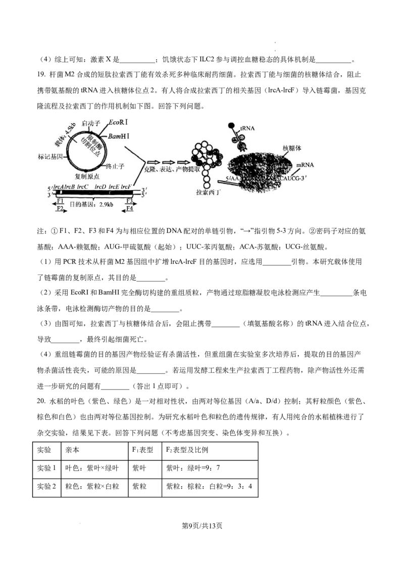 2025高考四川卷生物真题试卷_1.高考2025全国各省真题+答案_00.2025各省市高考真题及答案（按省份分类）_17、四川卷（9科全）_生物