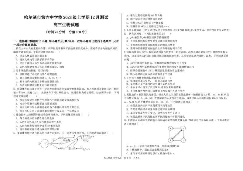高三生物_2025年12月_251203黑龙江省哈尔滨市第六中学校2025-2026学年高三上学期12月月考_黑龙江省哈尔滨市第六中学校2025-2026学年高三上学期12月月考生物试题（含答案）