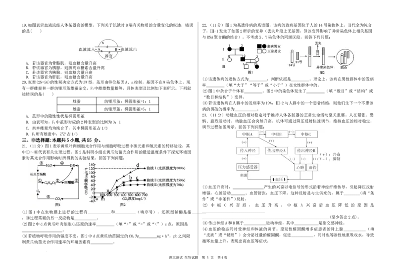 高三生物_2025年12月_251203黑龙江省哈尔滨市第六中学校2025-2026学年高三上学期12月月考_黑龙江省哈尔滨市第六中学校2025-2026学年高三上学期12月月考生物试题（含答案）