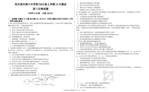 高三生物_2025年12月_251203黑龙江省哈尔滨市第六中学校2025-2026学年高三上学期12月月考_黑龙江省哈尔滨市第六中学校2025-2026学年高三上学期12月月考生物试题（含答案）