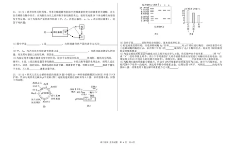 高三生物_2025年12月_251203黑龙江省哈尔滨市第六中学校2025-2026学年高三上学期12月月考_黑龙江省哈尔滨市第六中学校2025-2026学年高三上学期12月月考生物试题（含答案）