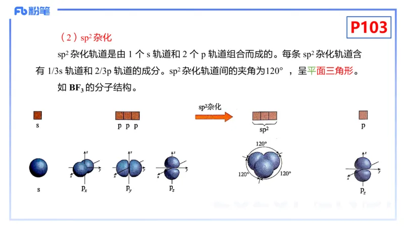 理论精讲12-物质结构与性质3-张世雄_4-教培资料-26年最新资料-同步更新_初中高中教资_03科三专项（进去保存报考的学科即可）_初中_初中化学-通关资料包_3.课程FB系统班课程