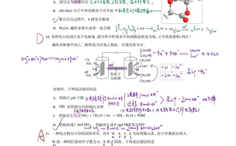 25新疆西藏理综-化学真题及答案_1.高考2025全国各省真题+答案_00.2025各省市高考真题及答案（按省份分类）_29、新疆卷（9全科）_化学