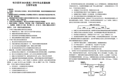 黑龙江省哈尔滨市2024-2025学年高二下学期7月期末生物试题_2025年7月_250717黑龙江省哈尔滨市2024-2025学年高二下学期期末质量检测（全科）