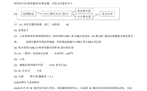 漳州三中2025-2026学年高三毕业班第三次月考生物参考答案_2025年12月_251214福建省漳州市第三中学2025-2026学年高三上学期12月月考（全科）