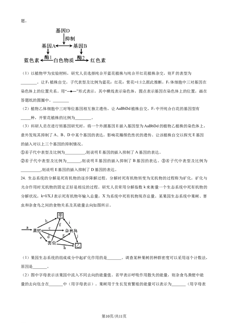 精品解析：山东省枣庄市2023-2024学年高三1月期末质量检测生物试题（原卷版）_2024届山东省枣庄市高三上学期1月期末质量检测_山东省枣庄市2024届高三上学期1月期末质量检测生物