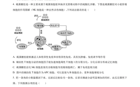 精品解析：山东省枣庄市2023-2024学年高三1月期末质量检测生物试题（原卷版）_2024届山东省枣庄市高三上学期1月期末质量检测_山东省枣庄市2024届高三上学期1月期末质量检测生物