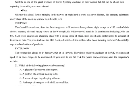 重庆八中英语试卷_2025年12月_251220重庆市重庆八中2026届高三12月高考适应性月考卷（四）（全科）_重庆市第八中学校2025-2026学年高三上学期12月月考英语试题（含答案）