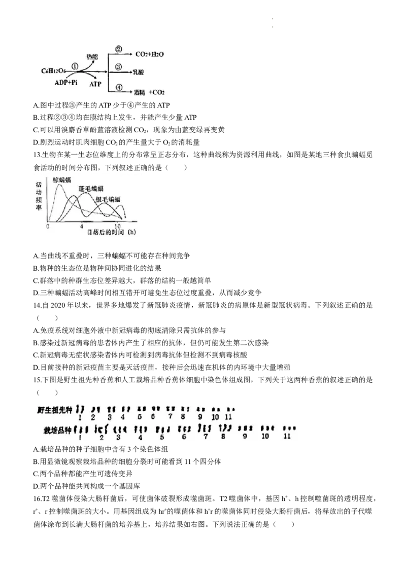 广东省潮州市2024届高三上学期期末考试生物_2024届广东省潮州市高三上学期期末考试