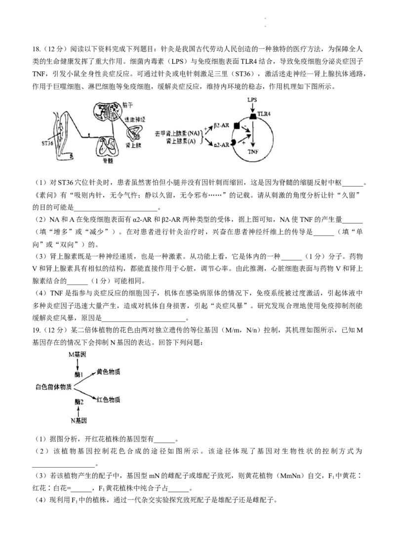 广东省潮州市2024届高三上学期期末考试生物_2024届广东省潮州市高三上学期期末考试