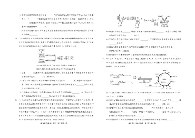 辽宁省点石联考2024&mdash;2025学年高二下学期6月份联合考试生物试题（含答案）_2025年6月_250612辽宁点石联考2025年高二下学期6月考试（全科）(1)