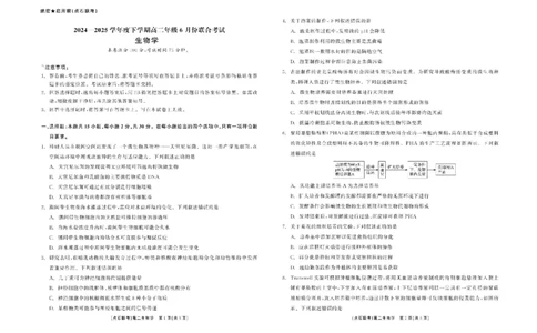 辽宁省点石联考2024&mdash;2025学年高二下学期6月份联合考试生物试题（含答案）_2025年6月_250612辽宁点石联考2025年高二下学期6月考试（全科）(1)