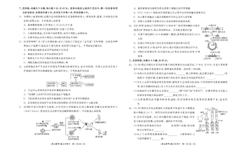 辽宁省点石联考2024&mdash;2025学年高二下学期6月份联合考试生物试题（含答案）_2025年6月_250612辽宁点石联考2025年高二下学期6月考试（全科）(1)
