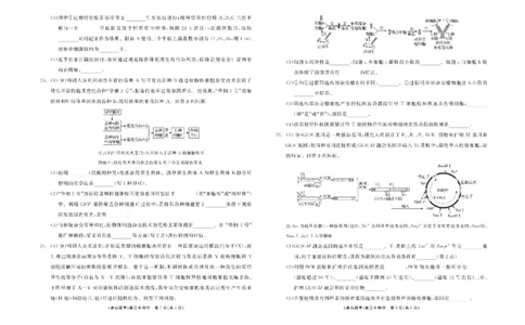 辽宁省点石联考2024&mdash;2025学年高二下学期6月份联合考试生物试题（含答案）_2025年6月_250612辽宁点石联考2025年高二下学期6月考试（全科）(1)