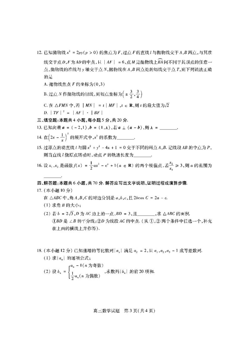 山西省运城市2023-2024学年高三上学期期末调研测试数学试卷_2024届山西省运城市高三上学期期末调研测试_山西省运城市2024届高三上学期期末调研测试数学