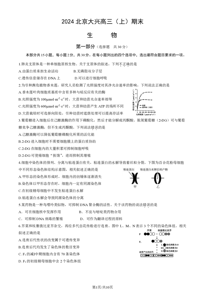 北京大兴区2024届高三1月期末考试生物_2024届北京大兴区高三1月期末考试