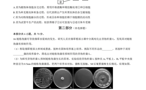 北京大兴区2024届高三1月期末考试生物_2024届北京大兴区高三1月期末考试