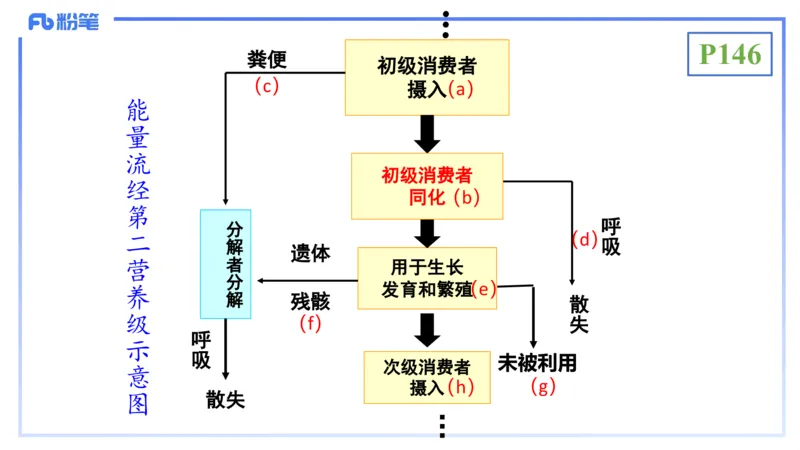 理论精讲19-生态学2-拾光_4-教培资料-26年最新资料-同步更新_初中高中教资_03科三专项（进去保存报考的学科即可）_01科目三FB网课、三色速记手册、知识点导图等推荐_初中