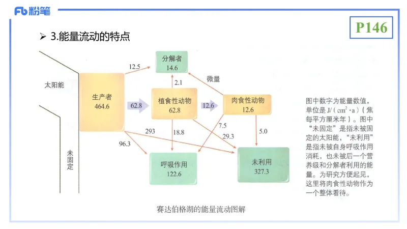 理论精讲19-生态学2-拾光_4-教培资料-26年最新资料-同步更新_初中高中教资_03科三专项（进去保存报考的学科即可）_01科目三FB网课、三色速记手册、知识点导图等推荐_初中