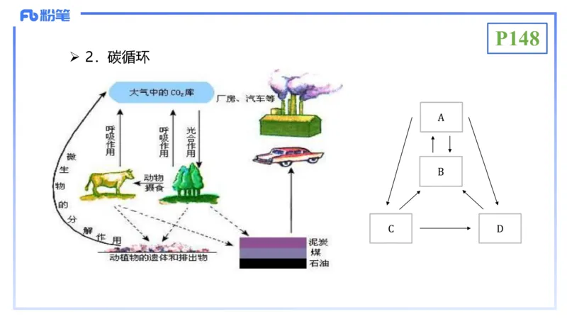 理论精讲19-生态学2-拾光_4-教培资料-26年最新资料-同步更新_初中高中教资_03科三专项（进去保存报考的学科即可）_01科目三FB网课、三色速记手册、知识点导图等推荐_初中